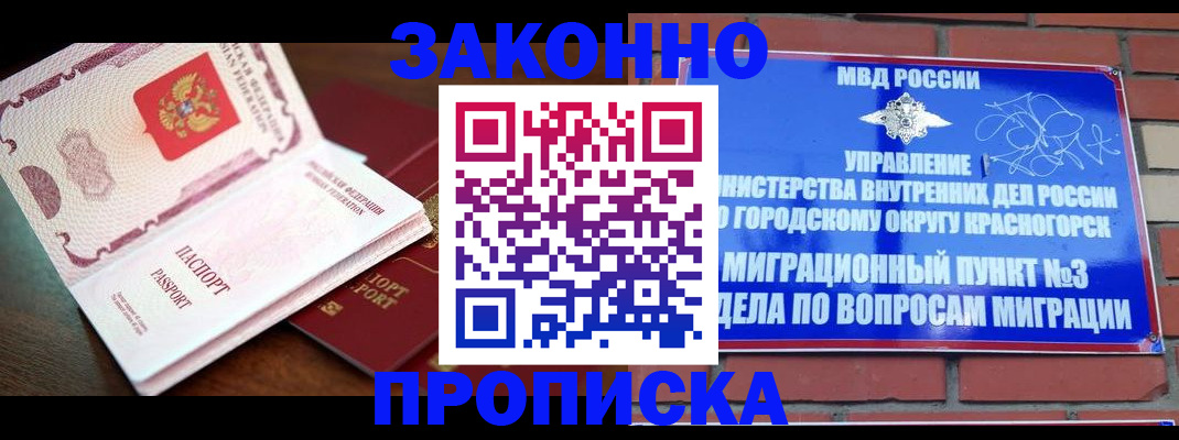временная регистрация купить в Димитровграде